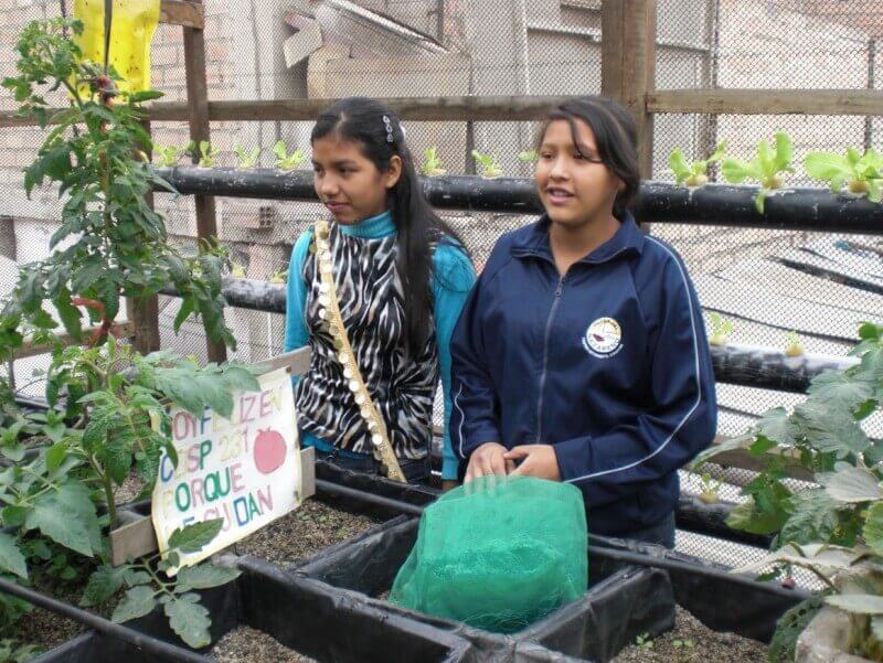 Planten verzorgsters in opleiding
